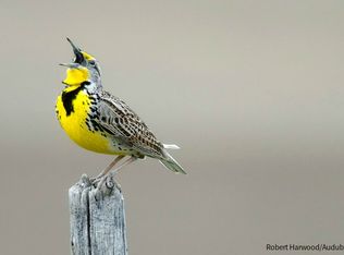 1763 Powder Horn Ter, Woodbridge, VA 22191