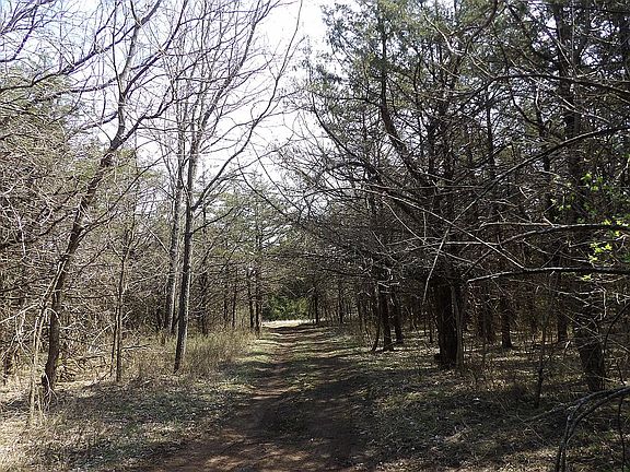 3rd image of 180 Nevada Rd