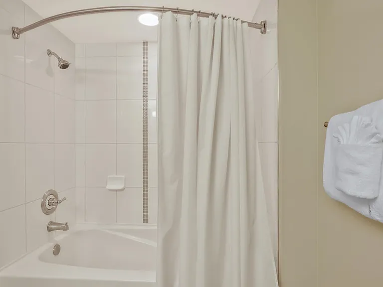 Main Bath Tub/Shower