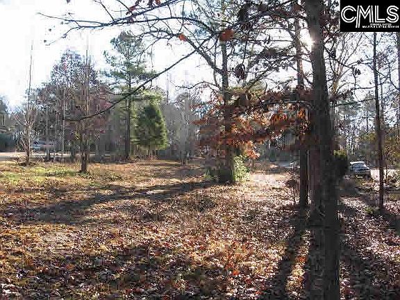 4th image of 544 Mallard Dr