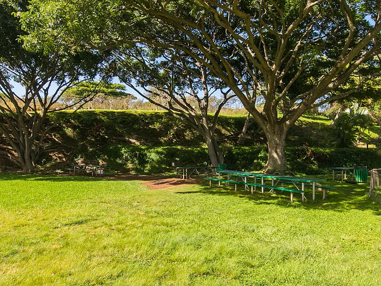 1060 Kamehameha Hwy #3506A-1 — Photo 16
