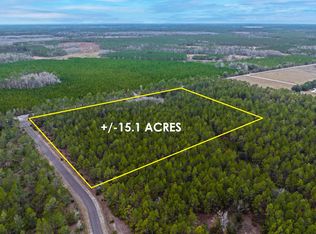 NE County Road 1469, Earleton, FL 32631