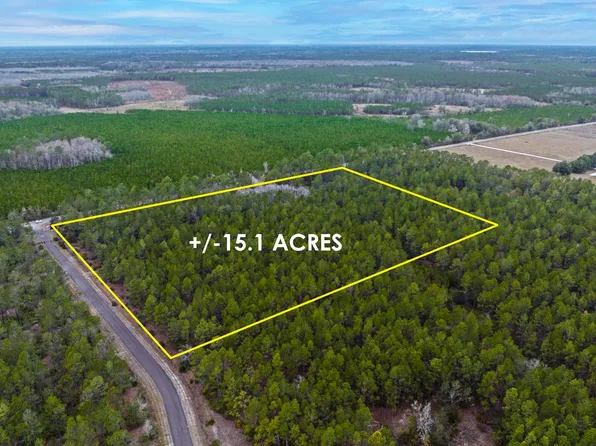 NE County Road 1469, Earleton, FL 32631