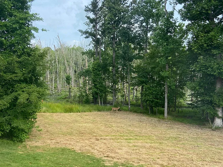 508 Fairway Lookout — Photo 16