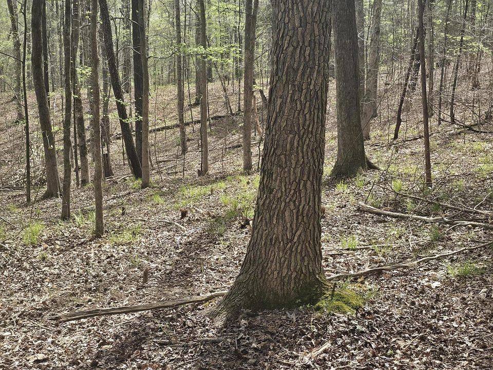 2nd image of 2700 Independence Rd