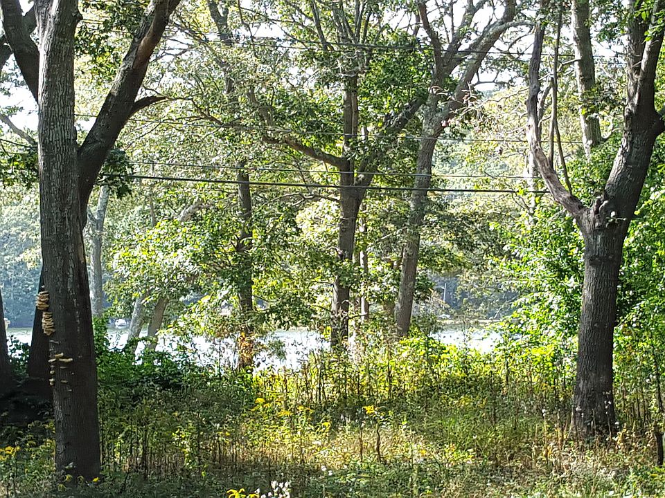 Close up of view