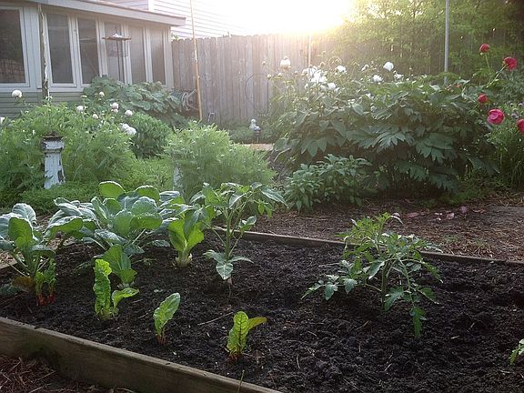 Garden, studio/workshop
