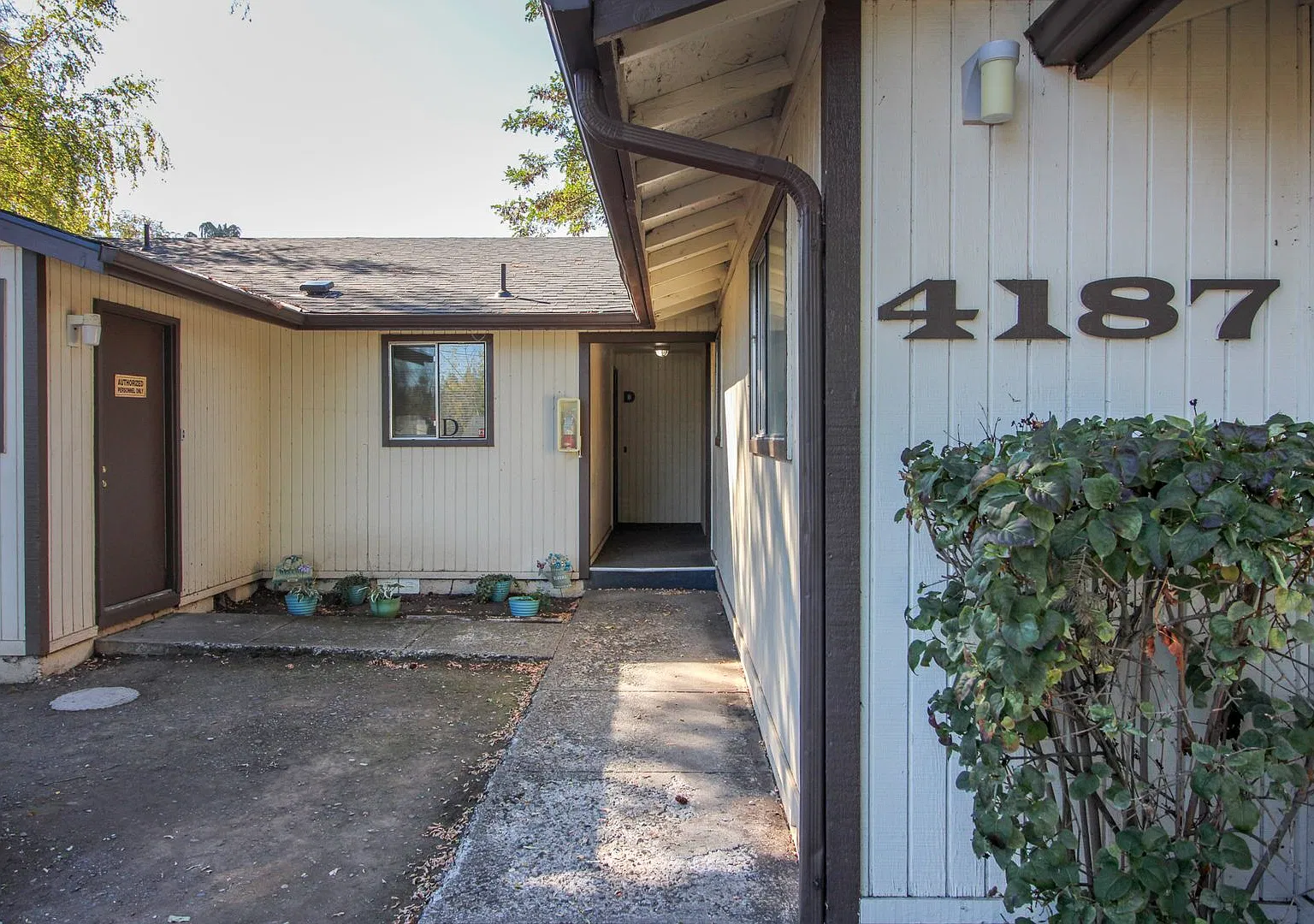 ARNOLD4 — Photo 2