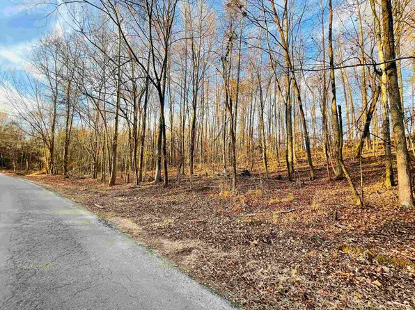 0 County Road 88, Anderson, AL 35610