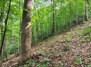 LOT 83 Switchback Rd, Lake Lure, NC 28746