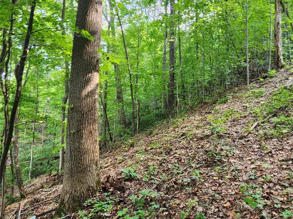 LOT 83 Switchback Rd, Lake Lure, NC 28746