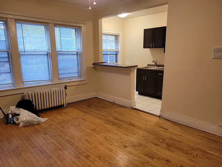 829 N. Cass — Photo 33