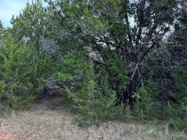 32049 Dove Trl, Whitney, TX 76692