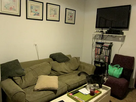 Rented by Tosh Marks Property Group | media 1