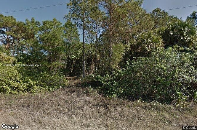 2nd image of 459 Lampion Ave S