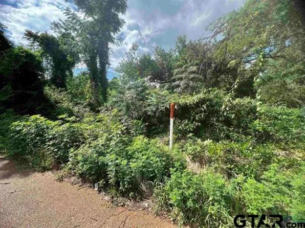 502 Tower, Hughes Springs, TX 75656