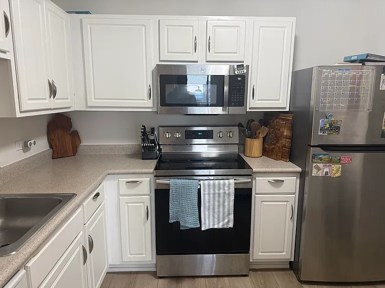 10 E Ontario St #5007 — Photo 10