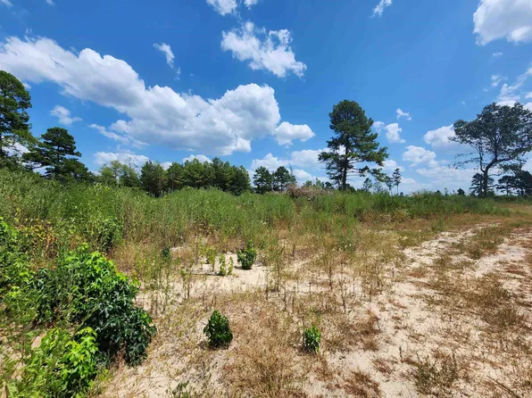 1 County Road 1762, Jefferson, TX 75657