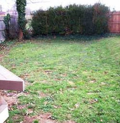 Back yard