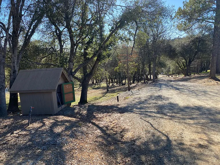10964 Rainbow Lake Rd — Photo 4