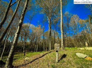 Es48 Rippling Waters Trl, Banner Elk, NC 28604