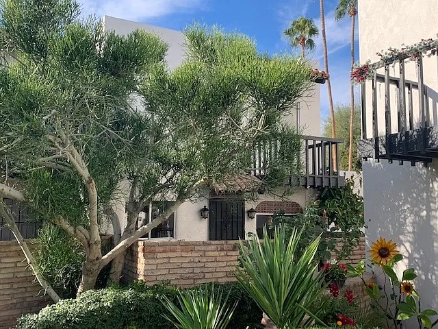 2 bed, 1480 sqft, $1,450 — Photo 2