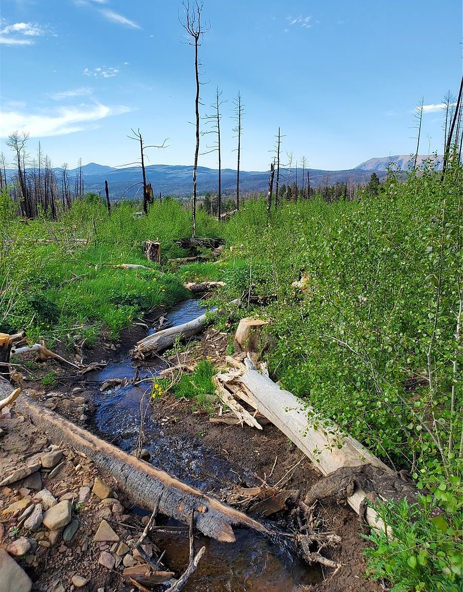 902 & 890 Ueda Place, Fort Garland, CO 81133 Zillow