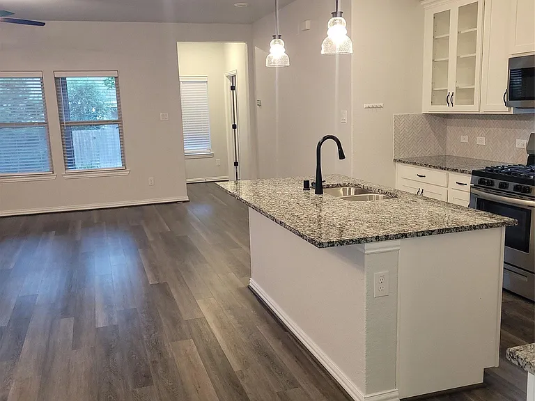 338 Honey Mesquite Path — Photo 11
