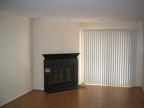 Wood burning fireplace