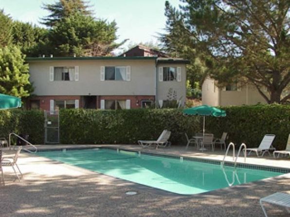 31 Reed Blvd APT 12A