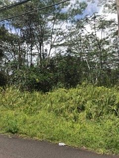 4th image of 19th Ave Lot 211
