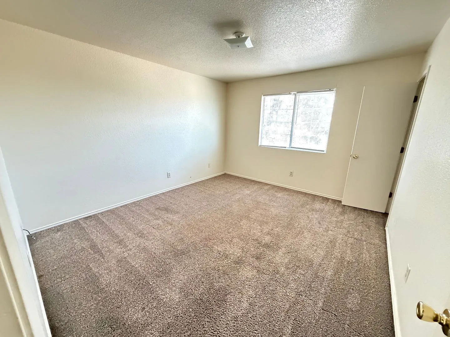 4302 Alan Kent Dr. — Photo 4