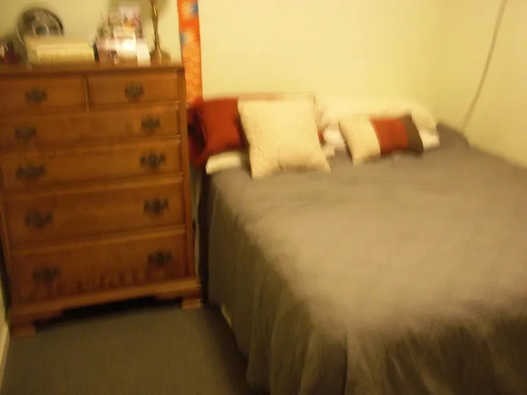 1625 Wallace St #1F — Photo 14