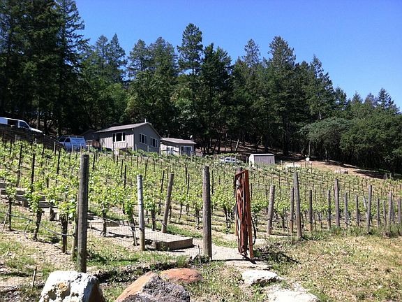looking up to the house from the pond