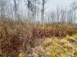 0 Neimi Rd, Ithaca, NY 14850