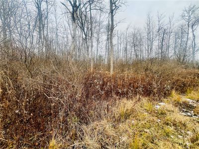 0 Neimi Rd, Ithaca, NY, 14850