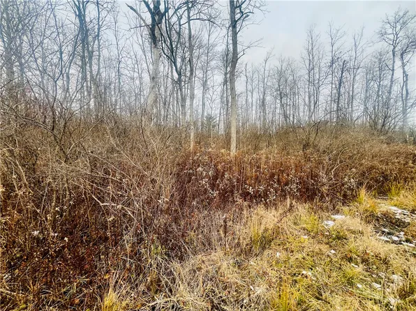 0 Neimi Rd, Ithaca, NY 14850