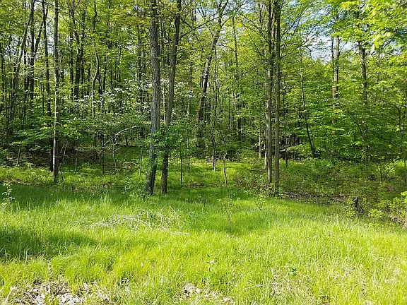 4th image of White Pine Dr