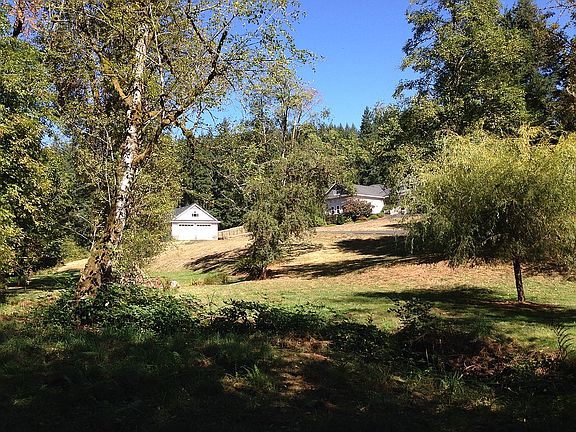 View from the creek