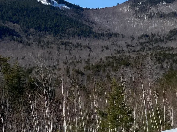 F8 Cave Mountain Road, Bartlett, NH 03812