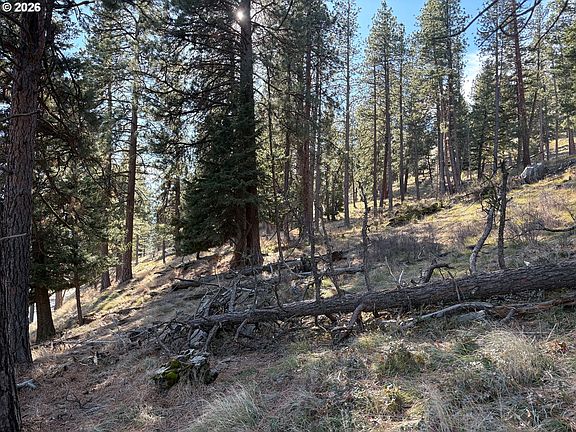 2nd image of 0 Lake Shore Rd