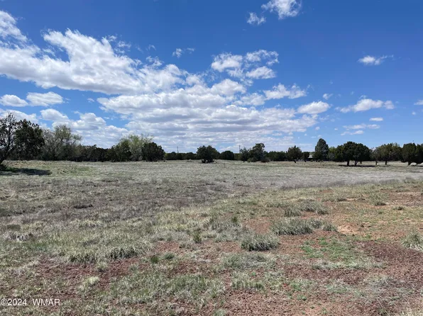 18 Pate Ln, Concho, AZ 85924