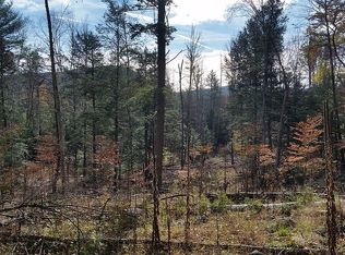 79 Landon Hill Rd, Chestertown, NY 12817