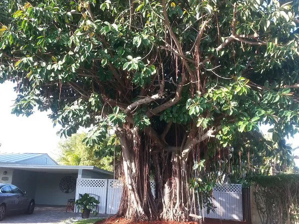 706 SE 5th Ct, Deerfield Beach, FL 33441