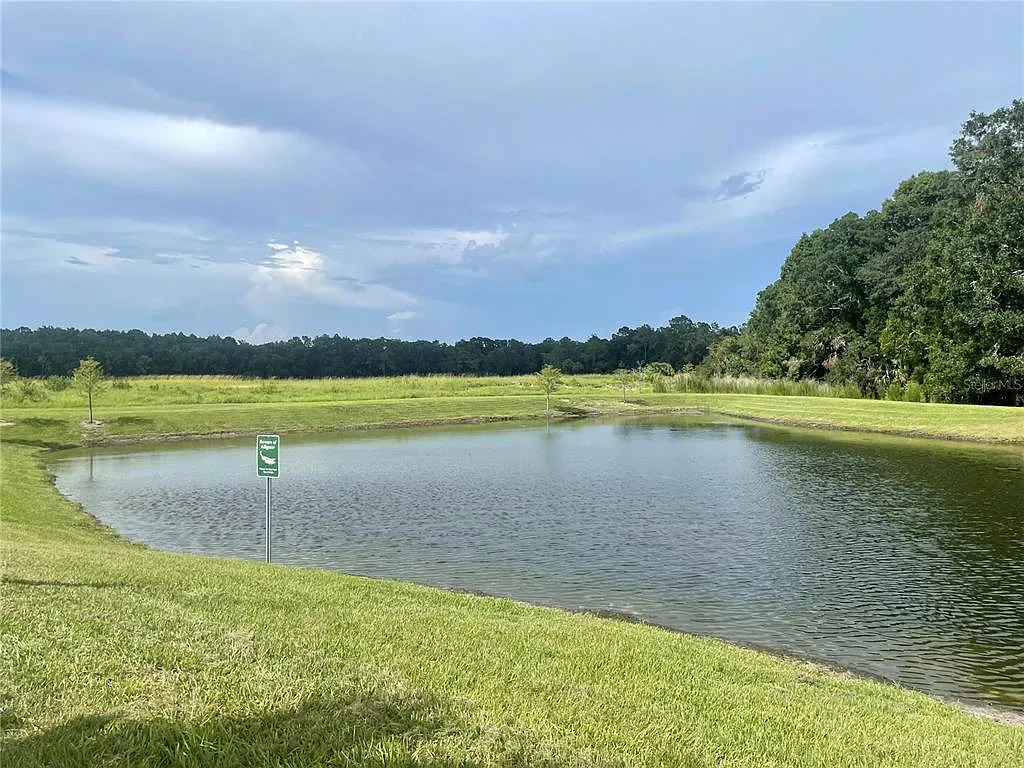 1077 Amber Leaf Trail, Wesley Chapel, FL 33544 — Photo 4