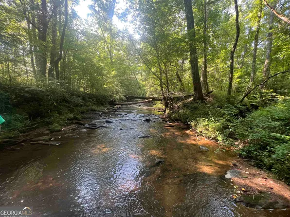 0 Notnomis Rd #50.3, Franklin, GA 30217