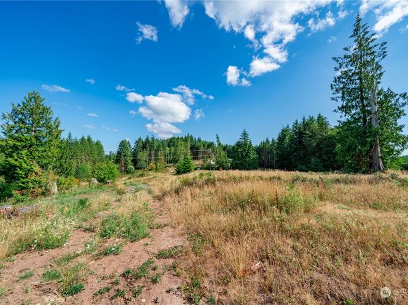 0 S Silver Lake Lot 8 Road, Castle Rock, WA 98611