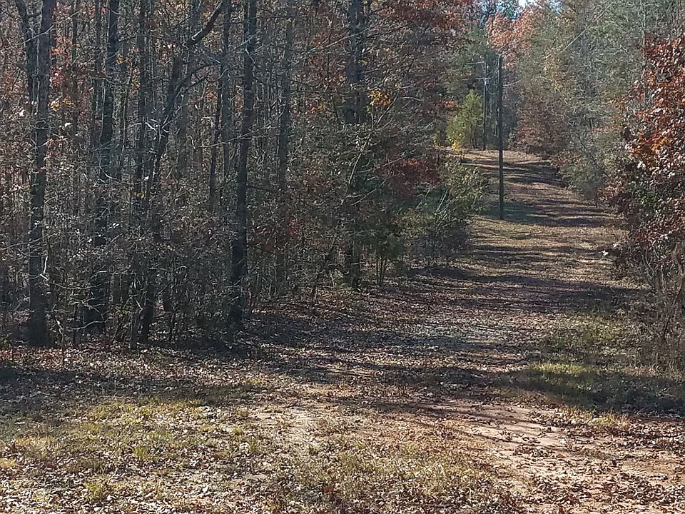 2nd image of 326 Forest Hill Dr