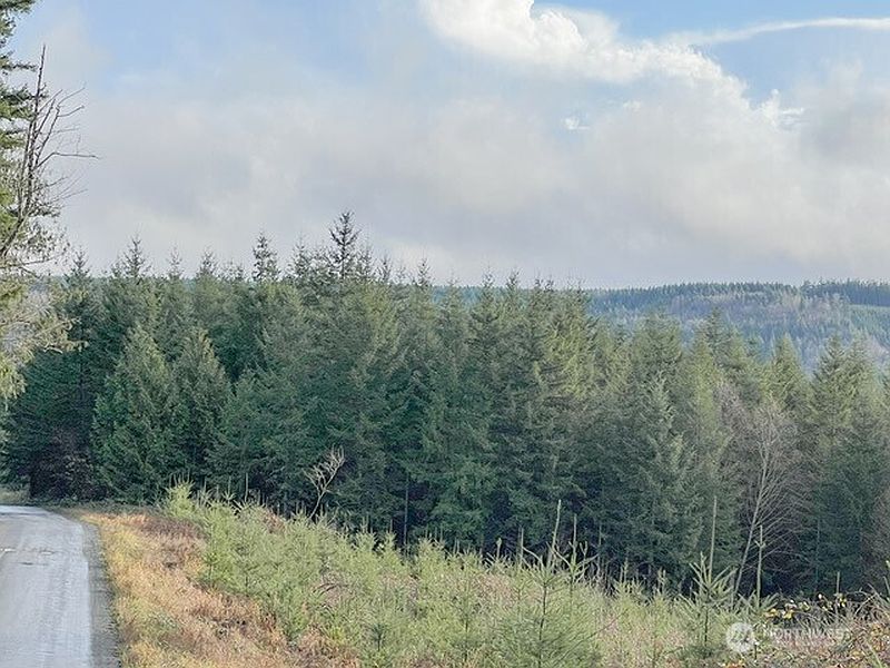 3rd image of 1 xxx Snow Creek Road