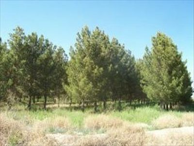 2498 S Curry Rd, Eloy, AZ, 85131